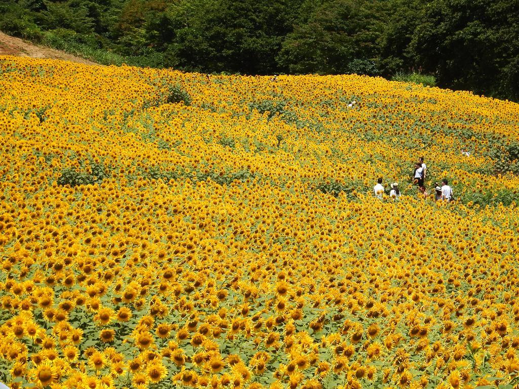 Отель Yamagataya Kitakata Экстерьер фото